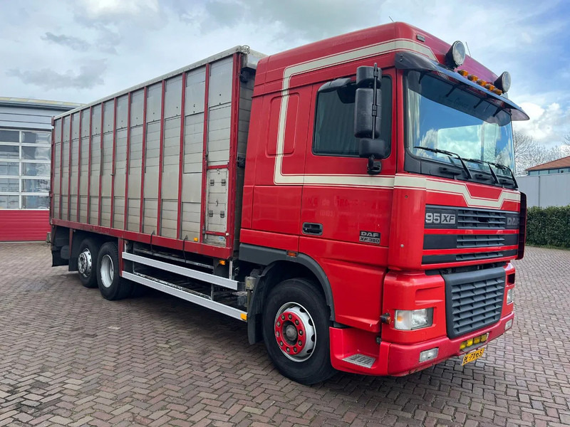DAF XF FAR 95XF.380 EURO 2 - Camión transporte de ganado: foto 3 DAF XF FAR 95XF.380 EURO 2 - Camión transporte de ganado: foto 3