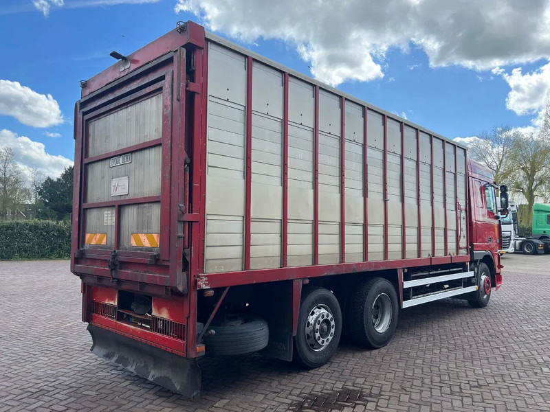 DAF XF FAR 95XF.380 EURO 2 - Camión transporte de ganado: foto 4 DAF XF FAR 95XF.380 EURO 2 - Camión transporte de ganado: foto 4
