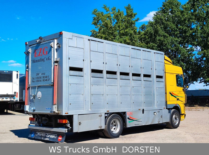 DAF XF410 Menke Doppelstock - Camión transporte de ganado: foto 5 DAF XF410 Menke Doppelstock - Camión transporte de ganado: foto 5