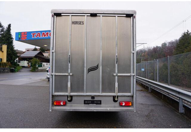 Leasing de Iveco EUROCARGO 80-190 Lószállító Iveco EUROCARGO 80-190 Lószállító: foto 6