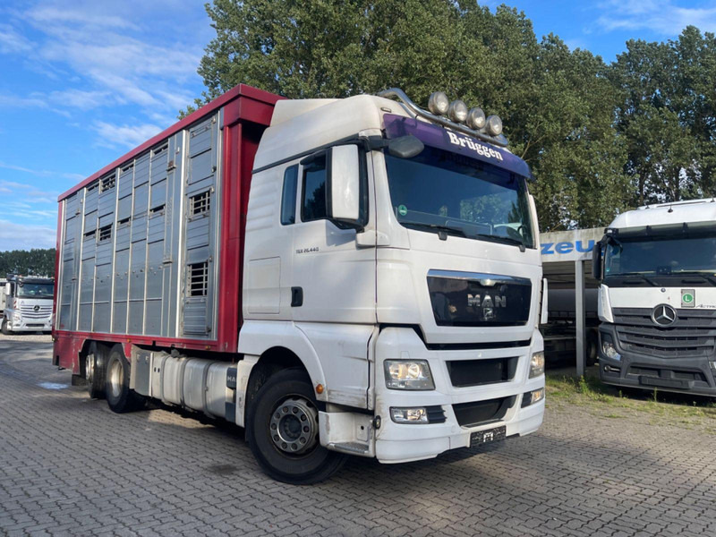 MAN TGX 26.400 6x2-2 LL 3 Stück Finkl Hubdach - Camión transporte de ganado: foto 5 MAN TGX 26.400 6x2-2 LL 3 Stück Finkl Hubdach - Camión transporte de ganado: foto 5