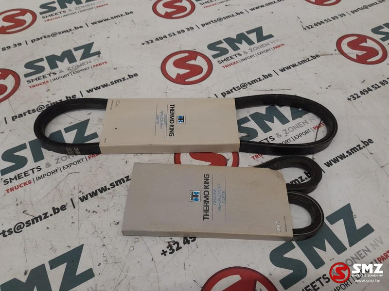 THERMOKING Set van 2 waterpompriemen Thermoking - Correa para Camión: foto 3 THERMOKING Set van 2 waterpompriemen Thermoking - Correa para Camión: foto 3