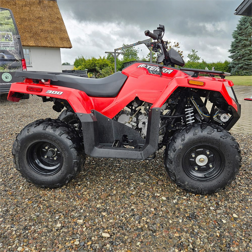Arctic Cat Alterra 300 - Cuadrimoto: foto 4 Arctic Cat Alterra 300 - Cuadrimoto: foto 4