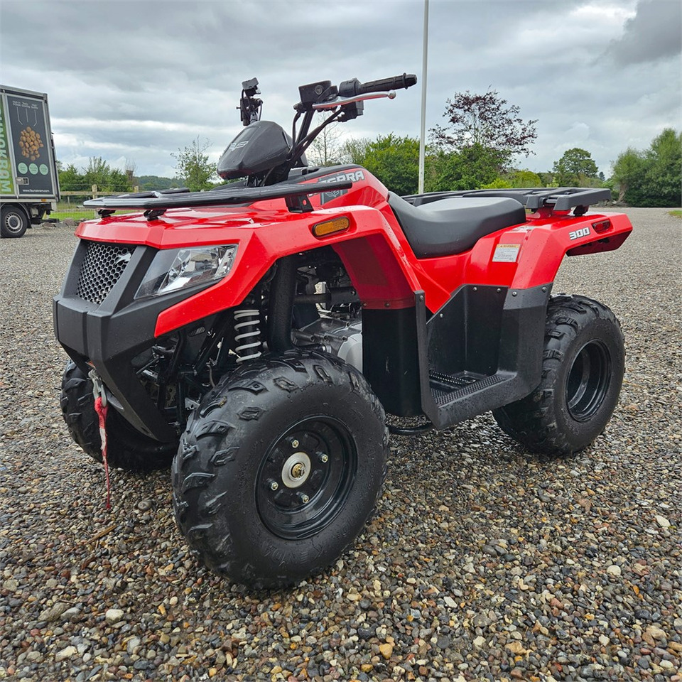 Arctic Cat Alterra 300 - Cuadrimoto: foto 1 Arctic Cat Alterra 300 - Cuadrimoto: foto 1