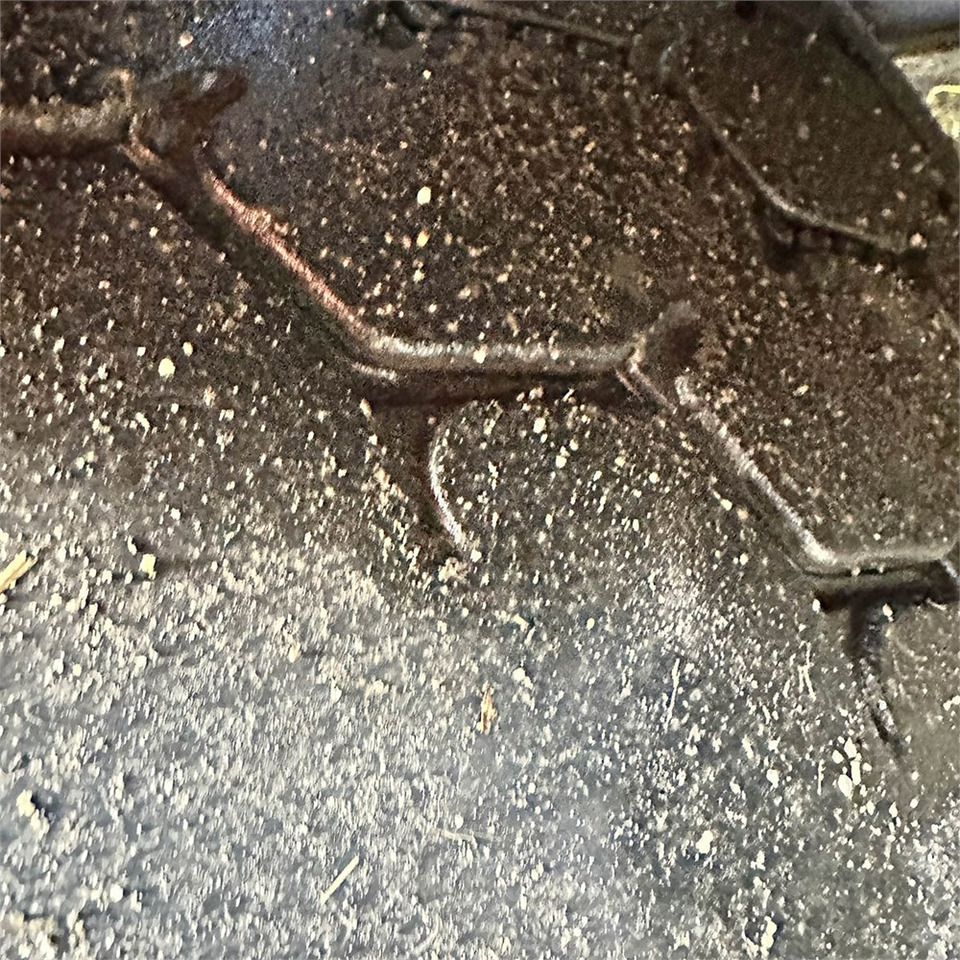 Cabeza tractora MAN TG 26.6x2-2 BLS: foto 37 Cabeza tractora MAN TG 26.6x2-2 BLS: foto 37