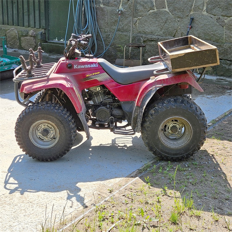 Kawasaki KLF 250 - Cuadrimoto: foto 2 Kawasaki KLF 250 - Cuadrimoto: foto 2