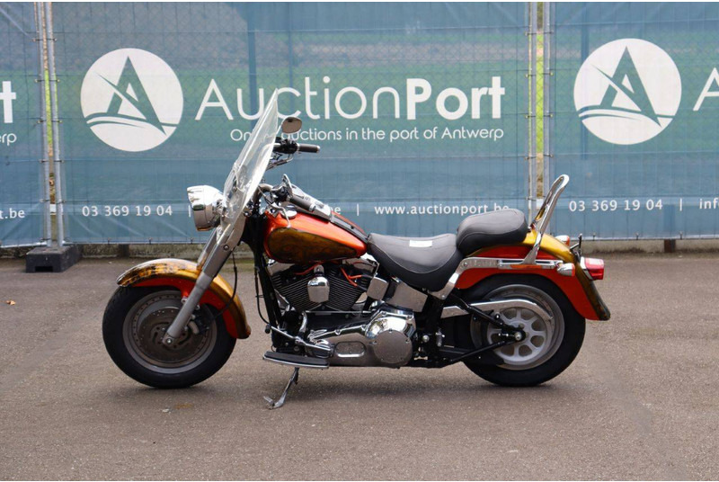 Harley-Davidson Fat Boy Softail - Motocicleta: foto 2 Harley-Davidson Fat Boy Softail - Motocicleta: foto 2