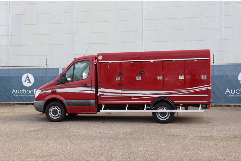 Mercedes-Benz 313CDI - Furgoneta caja cerrada: foto 3 Mercedes-Benz 313CDI - Furgoneta caja cerrada: foto 3