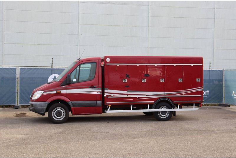 Mercedes-Benz 313CDI - Furgoneta caja cerrada: foto 1 Mercedes-Benz 313CDI - Furgoneta caja cerrada: foto 1