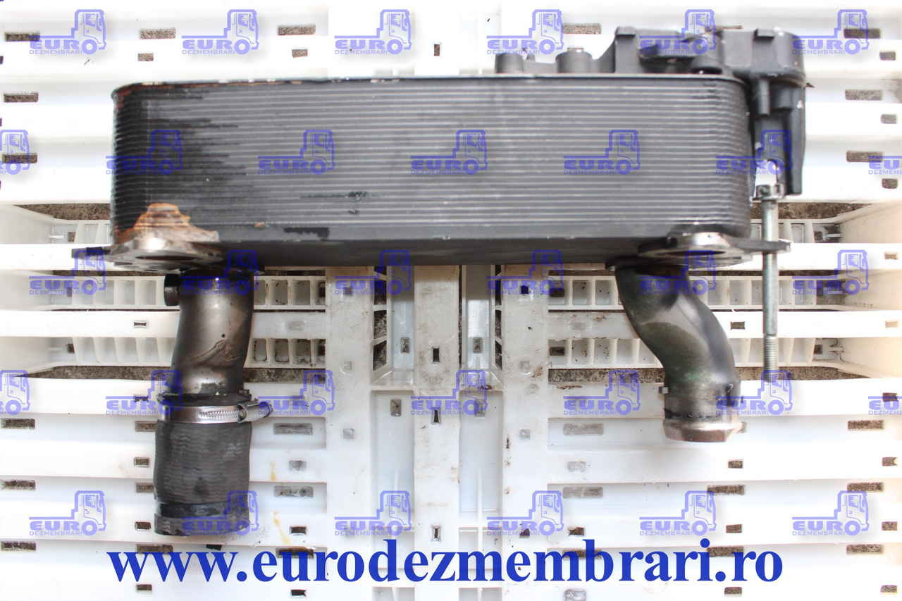 RADIATOR RACIRE ULEI INTARDER DAF 1900765 - Enfriador de aceite para Camión: foto 2 RADIATOR RACIRE ULEI INTARDER DAF 1900765 - Enfriador de aceite para Camión: foto 2