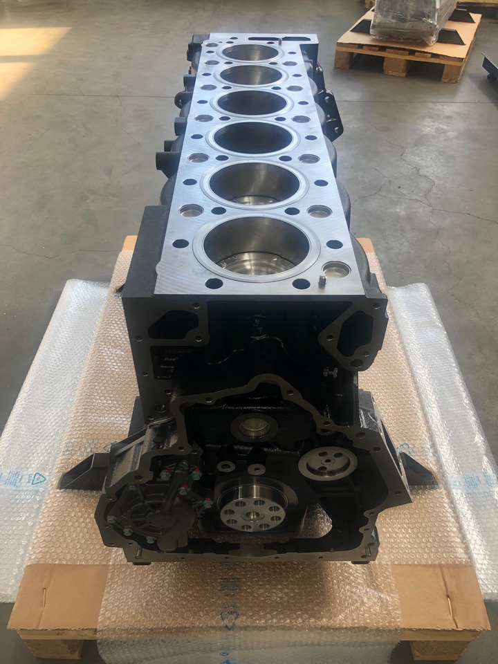 Bloque de cilindros para Camión SHORTBLOCK / BLOCCO MOTORE MAN D2066 EURO6 (camion e bus): foto 7