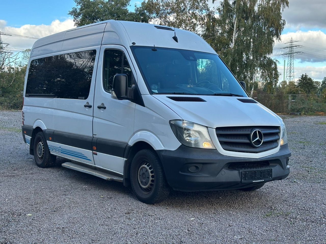 Mercedes-Benz Sprinter 316 CDi (wenig Km*Motor Neu) - Minibús, Furgoneta de pasajeros: foto 1 Mercedes-Benz Sprinter 316 CDi (wenig Km*Motor Neu) - Minibús, Furgoneta de pasajeros: foto 1